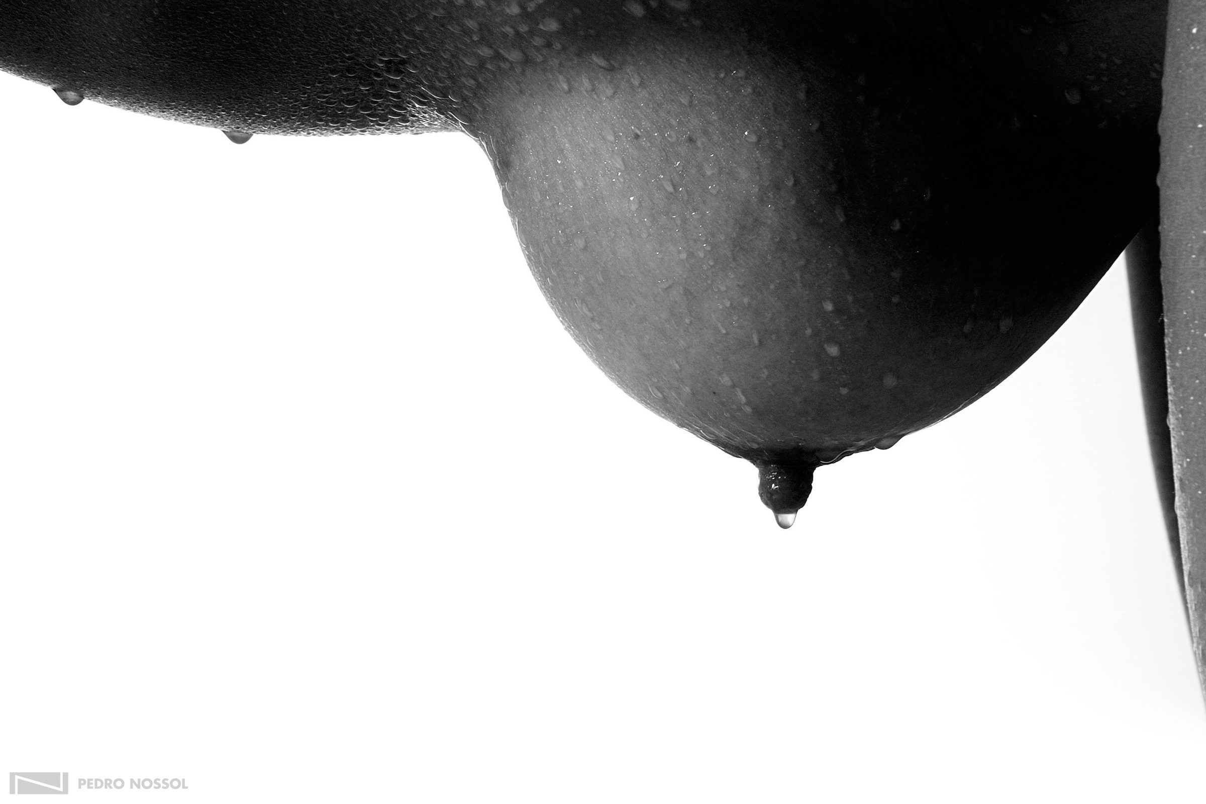 Foto de Pedro Nossol 12