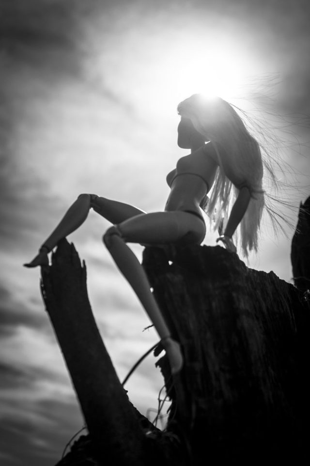 Barbie in wild Barbie in wild