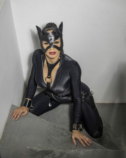 a gata subiu as escadas